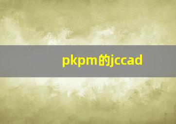 pkpm的jccad