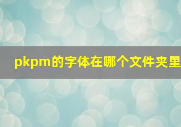 pkpm的字体在哪个文件夹里