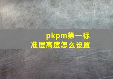 pkpm第一标准层高度怎么设置