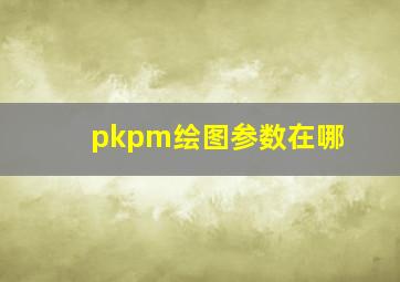 pkpm绘图参数在哪