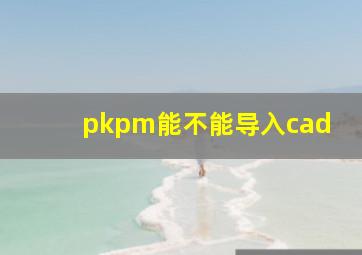 pkpm能不能导入cad