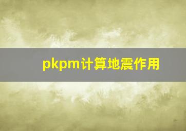 pkpm计算地震作用