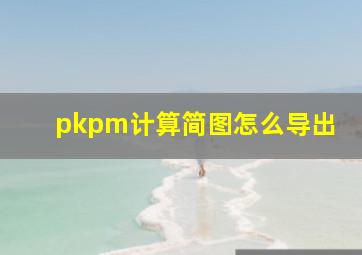 pkpm计算简图怎么导出