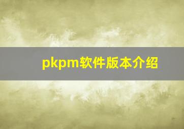 pkpm软件版本介绍