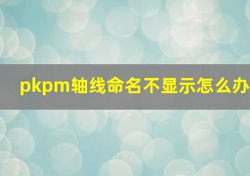 pkpm轴线命名不显示怎么办