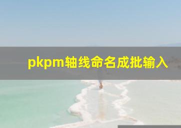 pkpm轴线命名成批输入