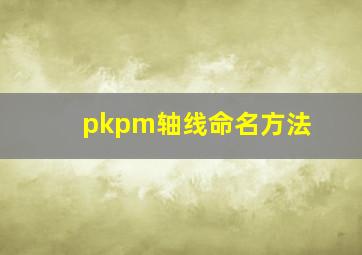 pkpm轴线命名方法