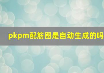 pkpm配筋图是自动生成的吗