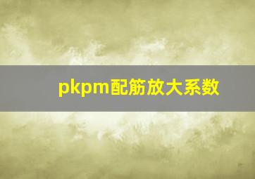 pkpm配筋放大系数