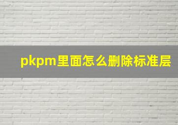 pkpm里面怎么删除标准层