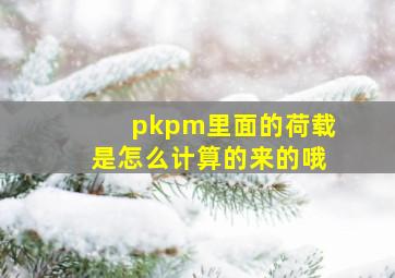 pkpm里面的荷载是怎么计算的来的哦