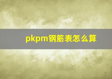 pkpm钢筋表怎么算