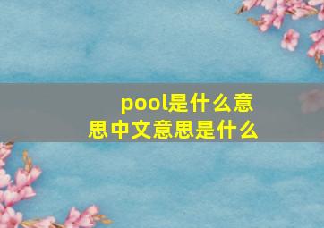 pool是什么意思中文意思是什么