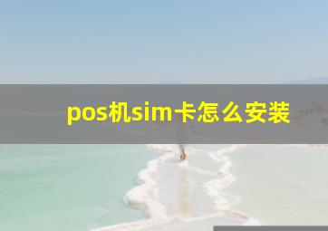 pos机sim卡怎么安装