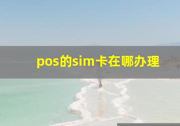 pos的sim卡在哪办理