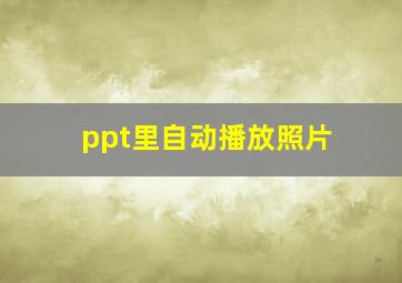 ppt里自动播放照片