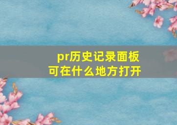 pr历史记录面板可在什么地方打开