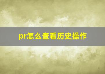 pr怎么查看历史操作