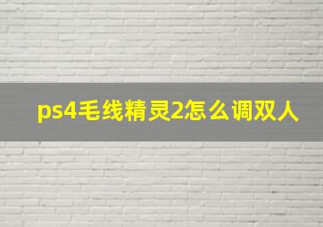 ps4毛线精灵2怎么调双人