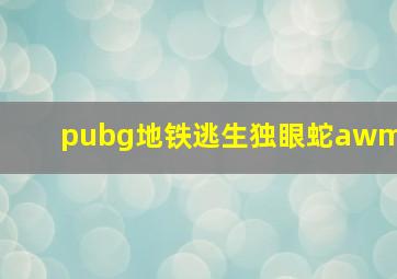 pubg地铁逃生独眼蛇awm