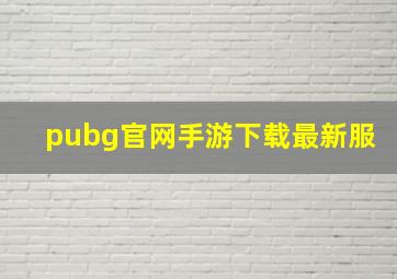 pubg官网手游下载最新服