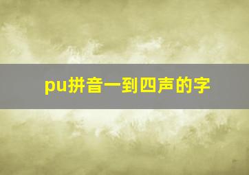 pu拼音一到四声的字