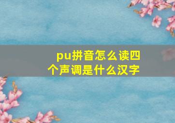 pu拼音怎么读四个声调是什么汉字