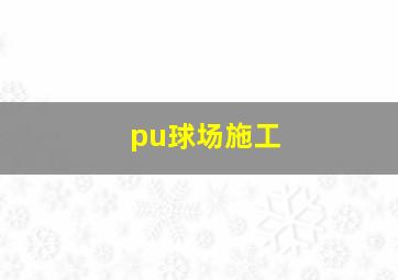 pu球场施工