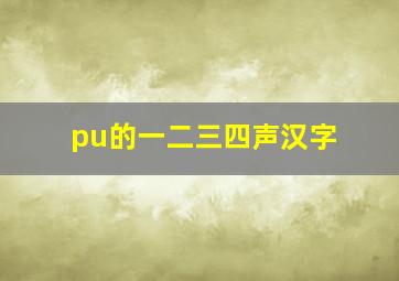 pu的一二三四声汉字