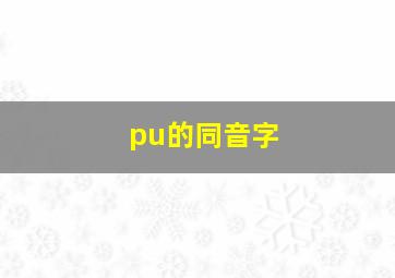 pu的同音字