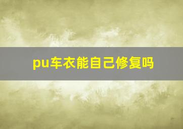 pu车衣能自己修复吗