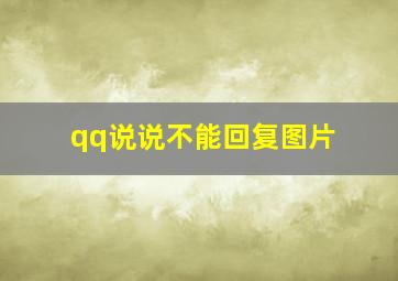 qq说说不能回复图片