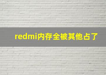 redmi内存全被其他占了