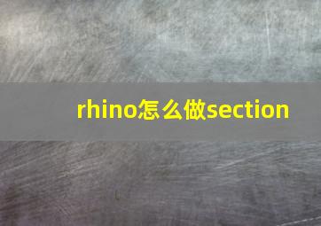 rhino怎么做section