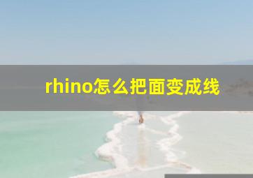 rhino怎么把面变成线