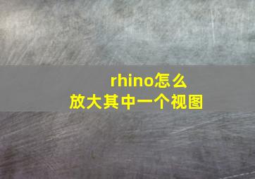 rhino怎么放大其中一个视图