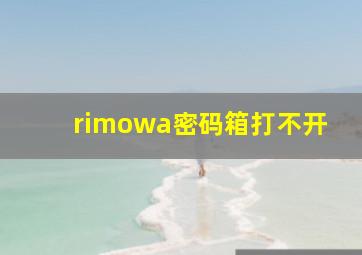 rimowa密码箱打不开