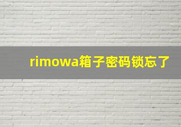 rimowa箱子密码锁忘了