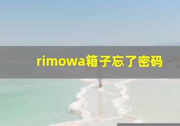 rimowa箱子忘了密码