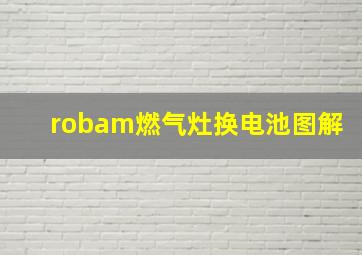 robam燃气灶换电池图解