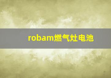 robam燃气灶电池