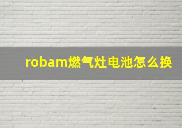 robam燃气灶电池怎么换