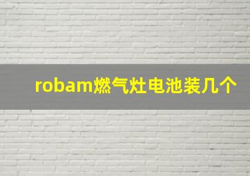 robam燃气灶电池装几个