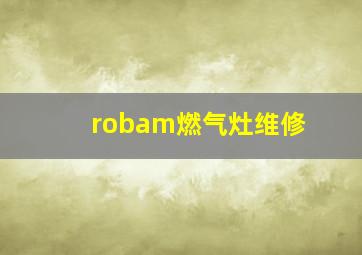 robam燃气灶维修