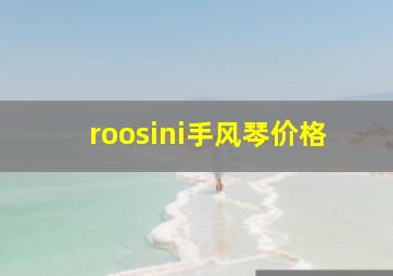 roosini手风琴价格