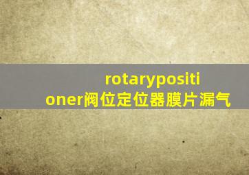 rotarypositioner阀位定位器膜片漏气