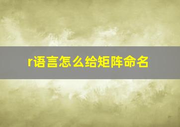 r语言怎么给矩阵命名