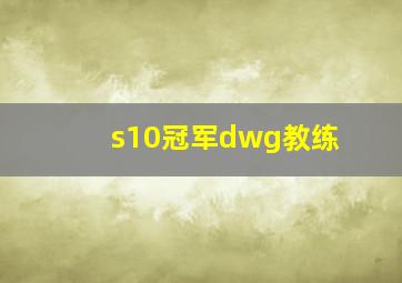 s10冠军dwg教练