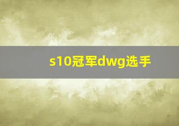 s10冠军dwg选手