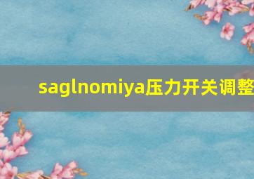 saglnomiya压力开关调整